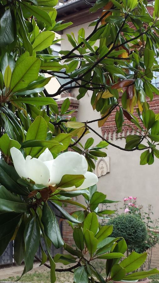 B&B San Martino Mede Exterior photo